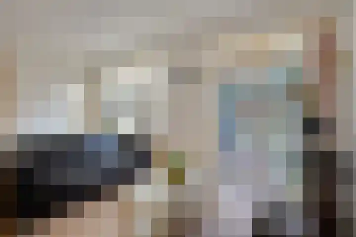 Zwaluwendonk 27 Veghel thumbnail 7