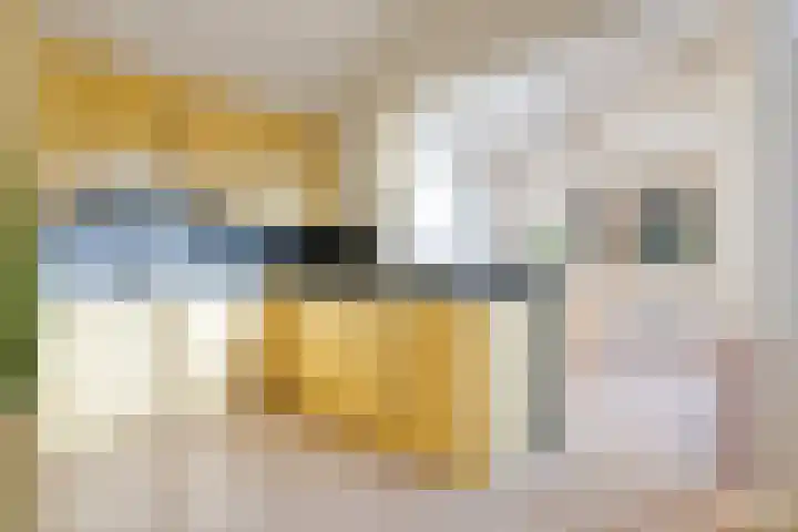 Zwaluwendonk 27 Veghel thumbnail 8
