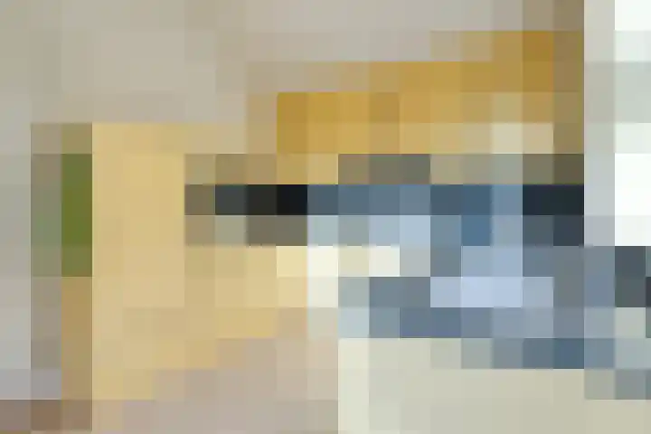 Zwaluwendonk 27 Veghel thumbnail 9