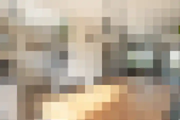 Zwaluwenhof 4 Zundert thumbnail 10