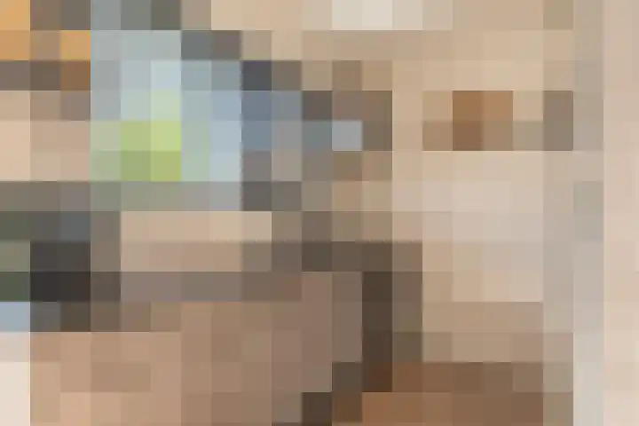 Zwaluwenhof 4 Zundert thumbnail 11