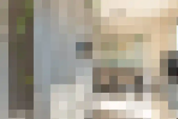 Zwaluwenhof 4 Zundert thumbnail 13