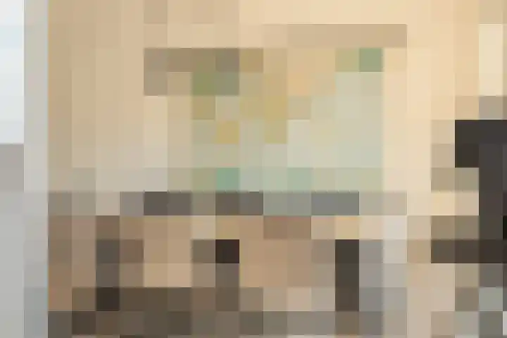 Zwaluwenhof 4 Zundert thumbnail 14