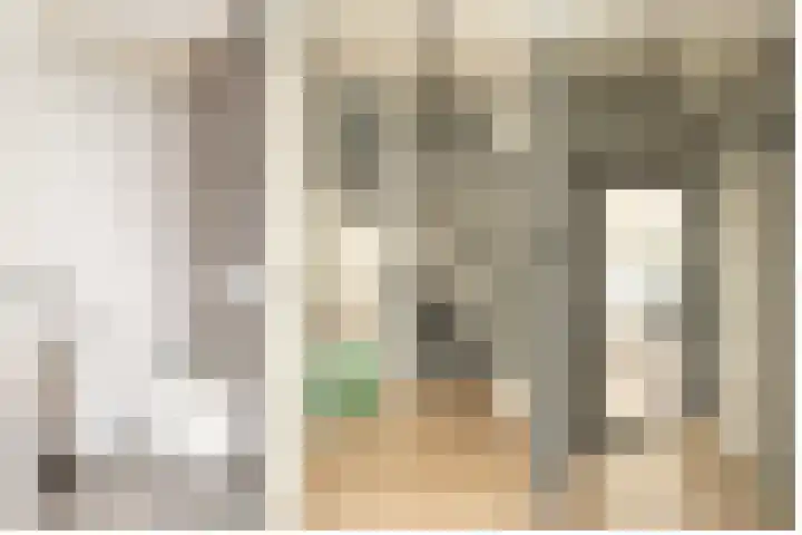 Zwaluwenhof 4 Zundert thumbnail 16