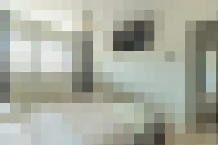 Zwaluwenhof 4 Zundert thumbnail 19