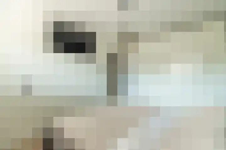 Zwaluwenhof 4 Zundert thumbnail 20