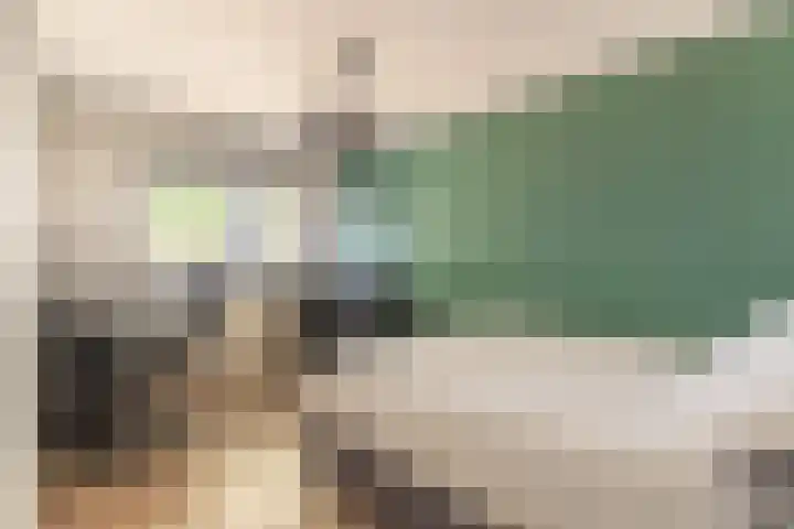 Zwaluwenhof 4 Zundert thumbnail 21