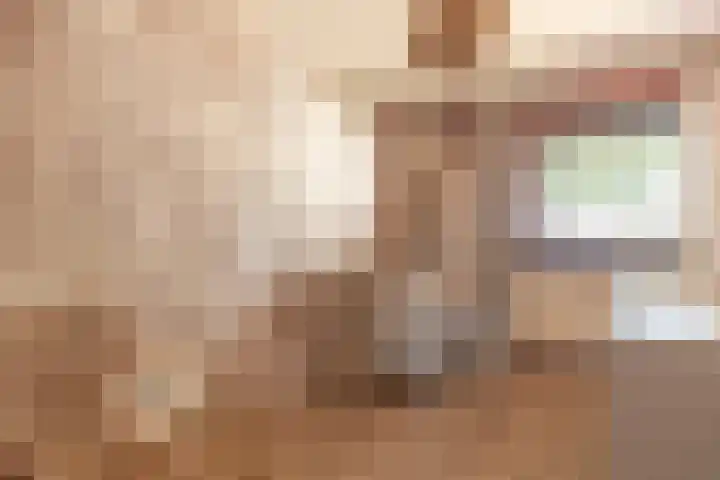 Zwaluwenhof 4 Zundert thumbnail 23
