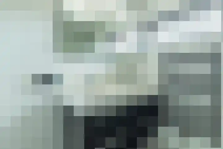 Zwaluwenhof 4 Zundert thumbnail 27