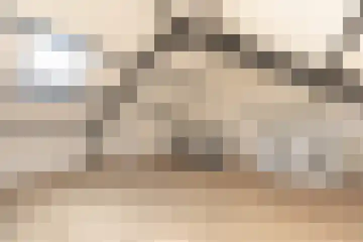 Zwaluwenhof 4 Zundert thumbnail 31