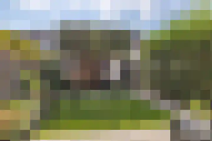 Zwaluwenhof 4 Zundert thumbnail 32