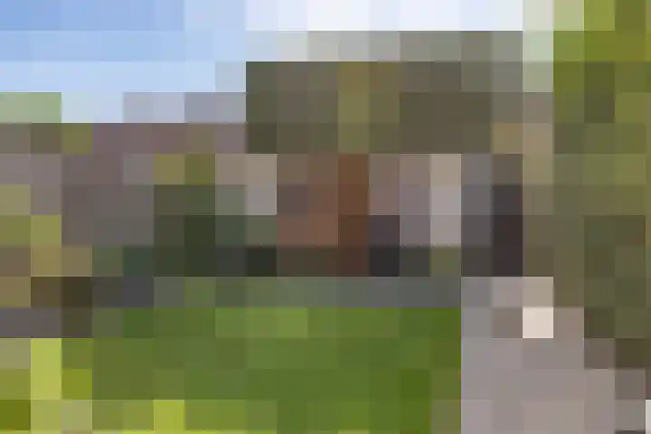 Zwaluwenhof 4 Zundert thumbnail 33