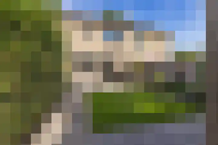 Zwaluwenhof 4 Zundert thumbnail 36