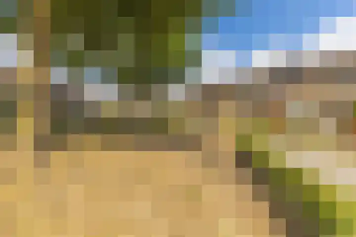 Zwaluwenhof 4 Zundert thumbnail 37