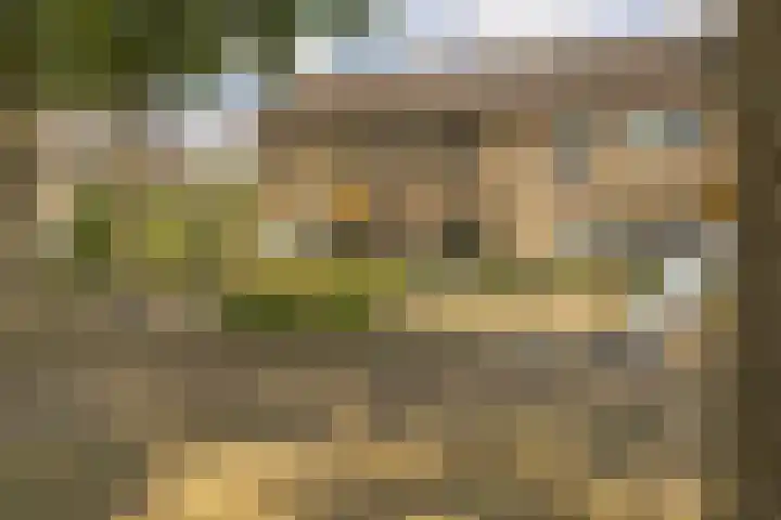 Zwaluwenhof 4 Zundert thumbnail 38