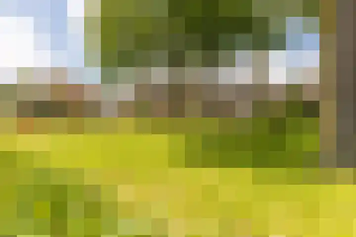 Zwaluwenhof 4 Zundert thumbnail 39