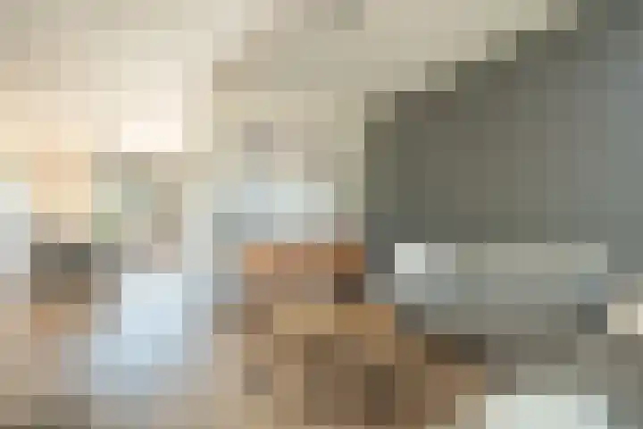 Zwaluwenhof 4 Zundert thumbnail 4