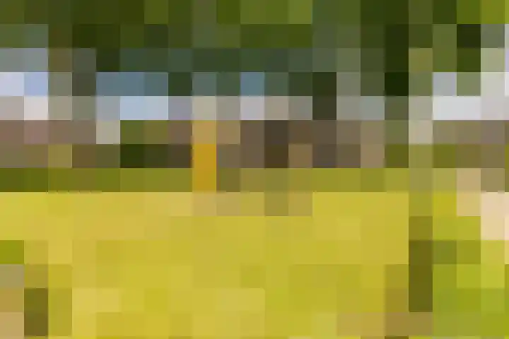 Zwaluwenhof 4 Zundert thumbnail 40