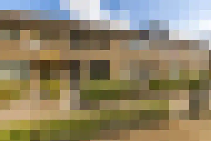 Zwaluwenhof 4 Zundert thumbnail 41