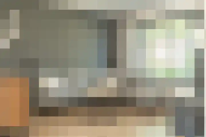 Zwaluwenhof 4 Zundert thumbnail 6