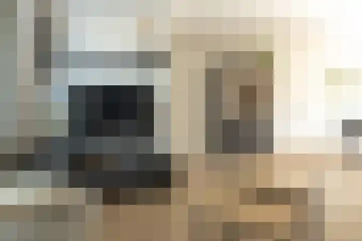 Zwaluwenhof 4 Zundert thumbnail 7
