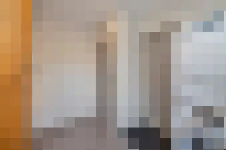 Zwaluwenlaan 25 Wieringerwaard thumbnail 18