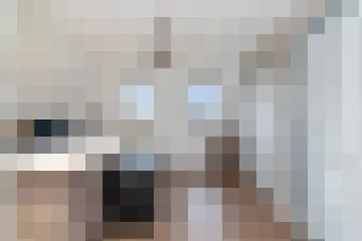 Zwaluwenlaan 25 Wieringerwaard thumbnail 22
