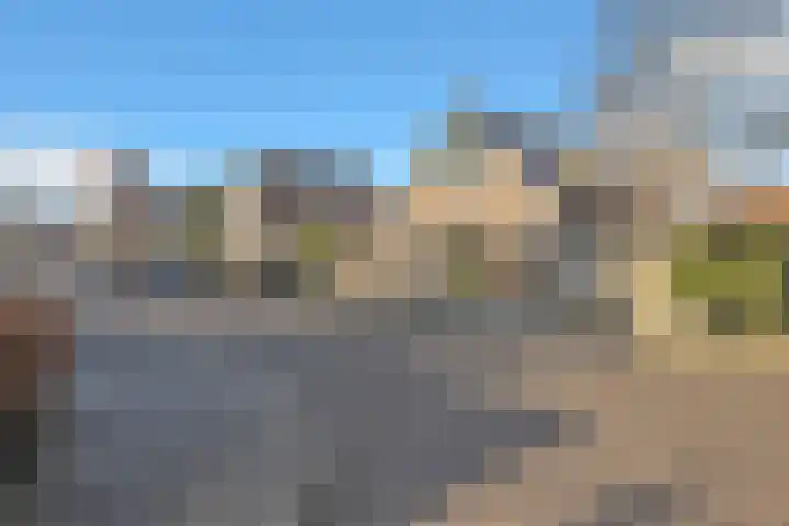 Zwaluwenlaan 25 Wieringerwaard thumbnail 45
