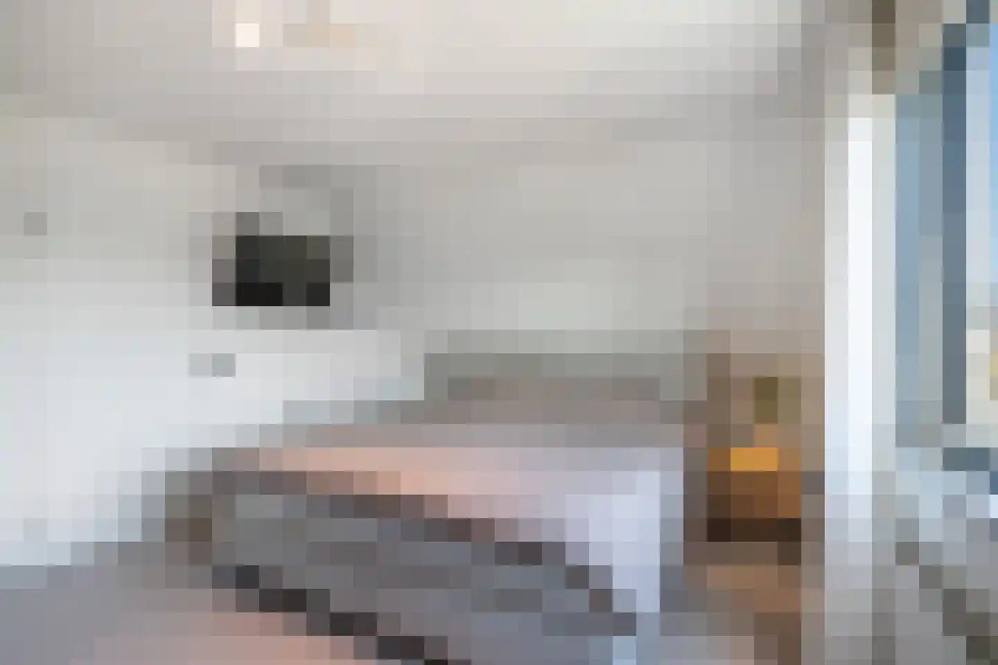 Zwaluwenlaan 3 Wieringerwaard thumbnail 31