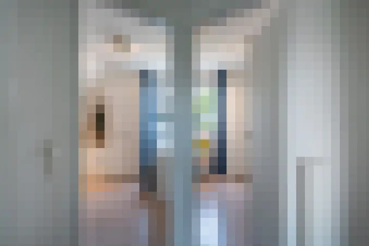 Zwaluwenlaan 3 Wieringerwaard thumbnail 35