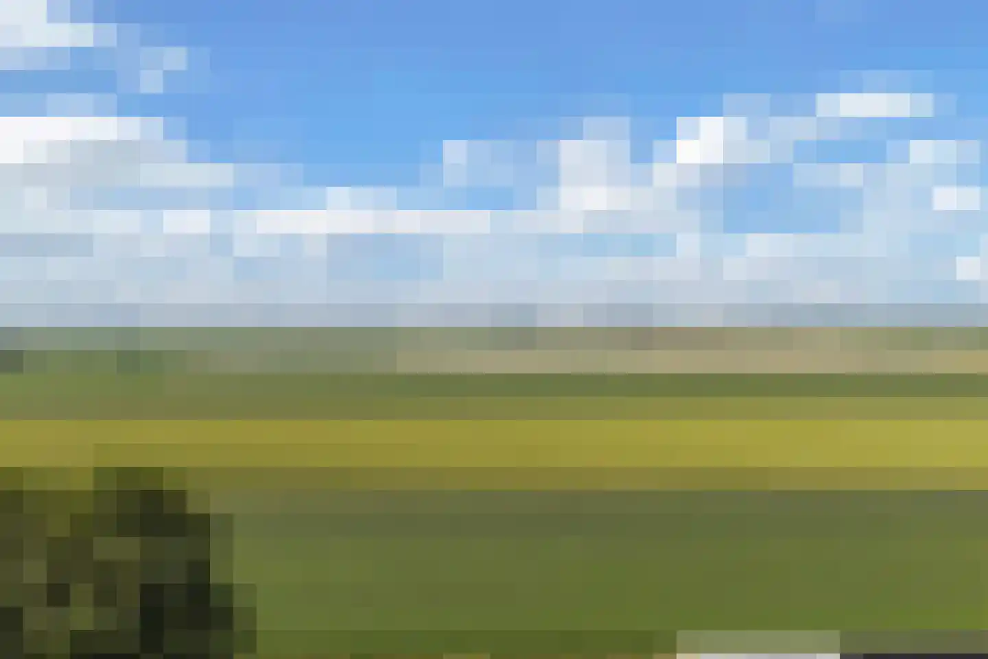 Zwaluwenlaan 3 Wieringerwaard thumbnail 58