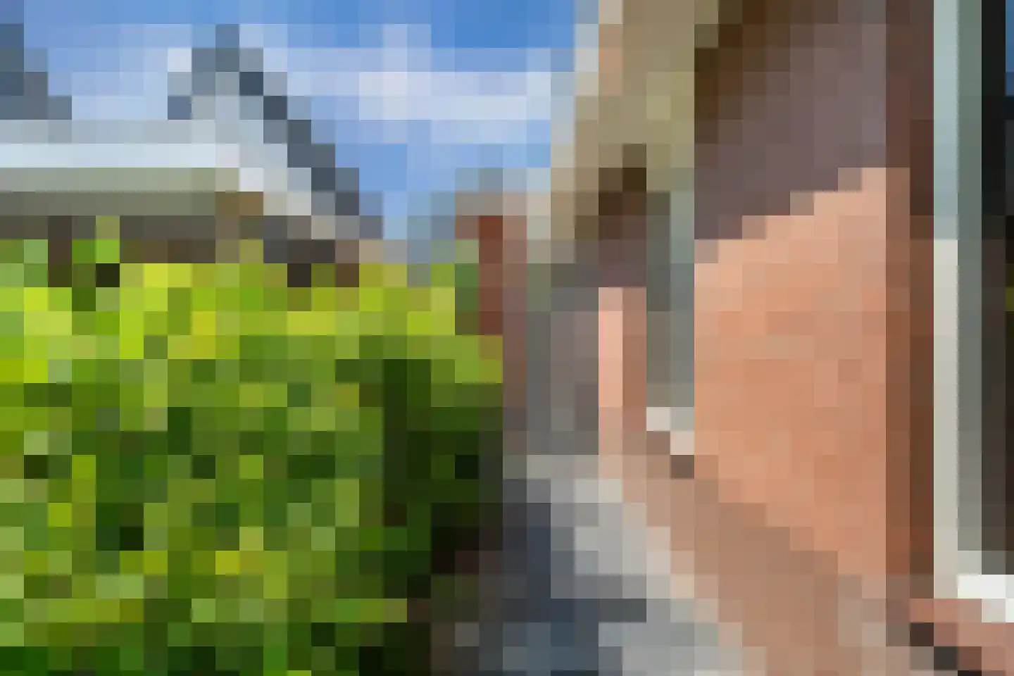 Zwaluwenlaan 3 Wieringerwaard thumbnail 7