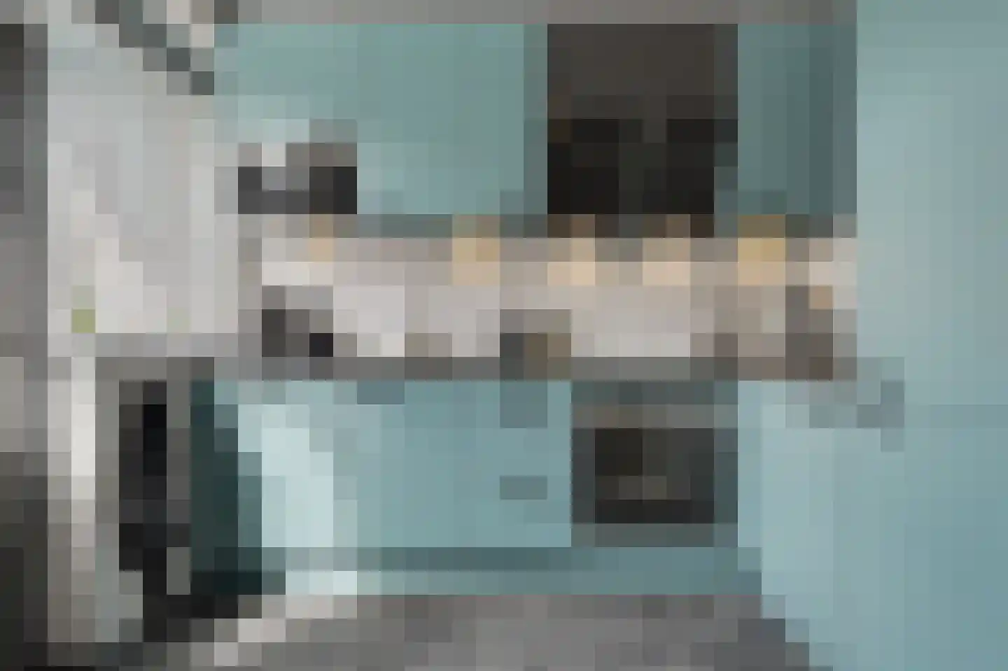 Zwaluwenlaan 30 Rhoon thumbnail 4