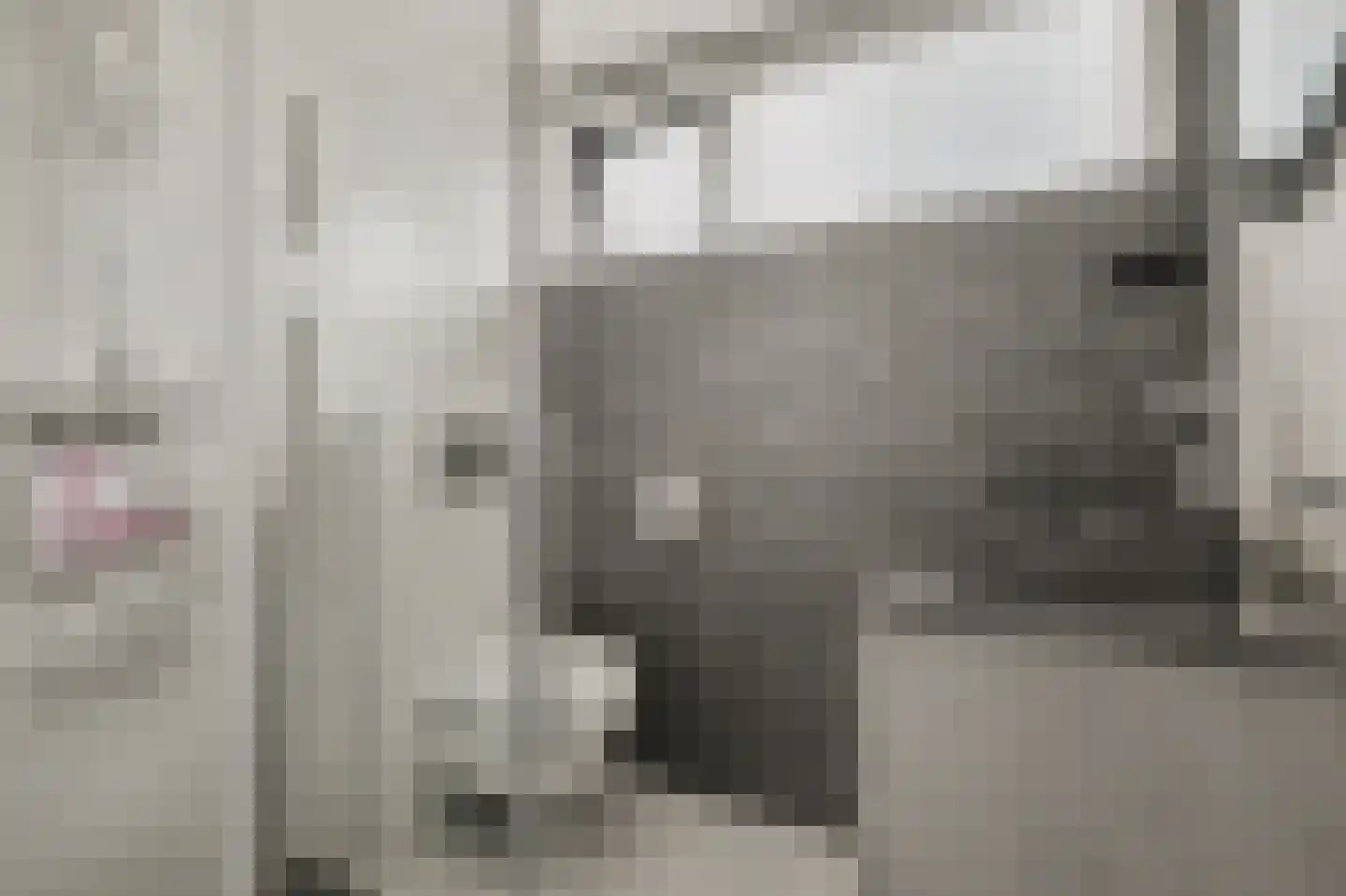 Zwaluwenlaan 30 Rhoon thumbnail 5