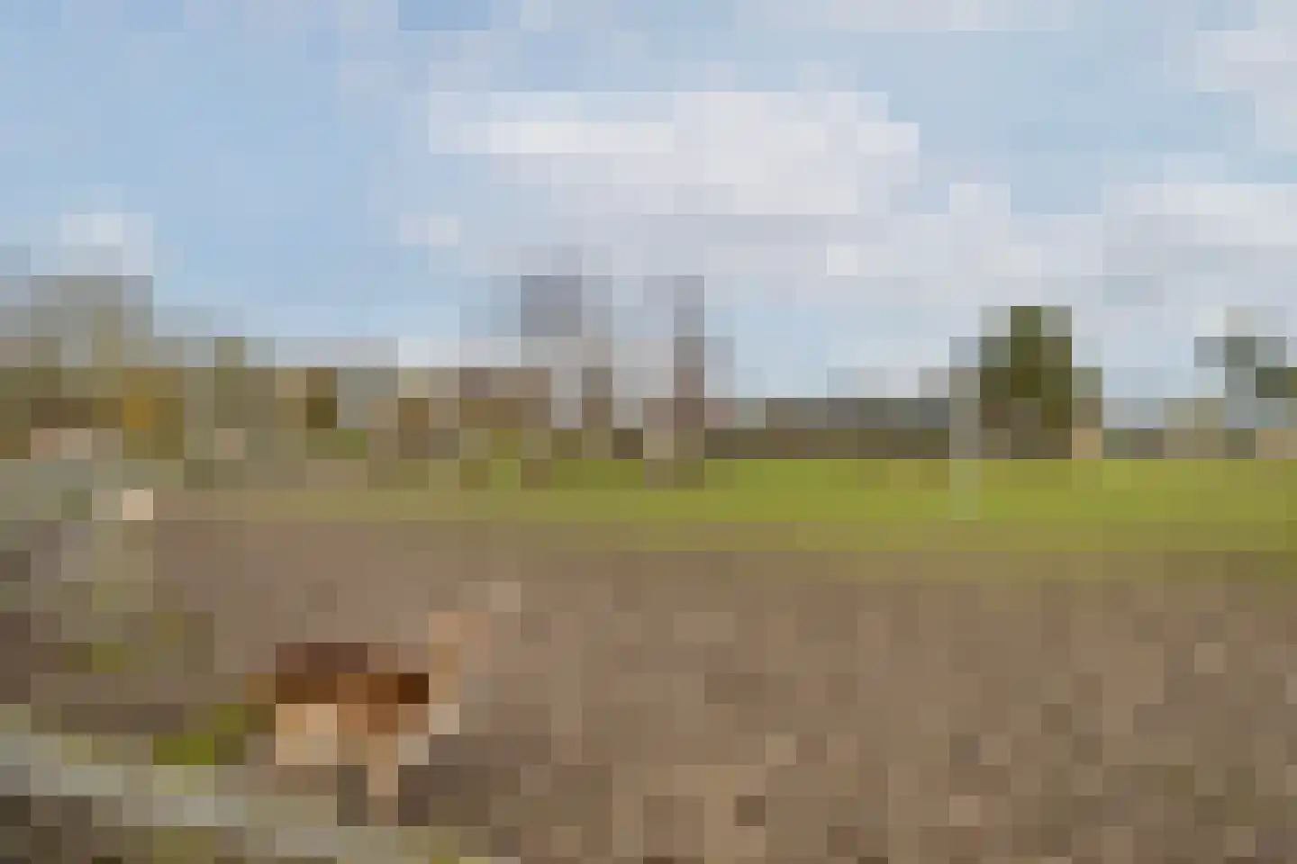 Zwaluwenlaan 52 Rhoon thumbnail 36