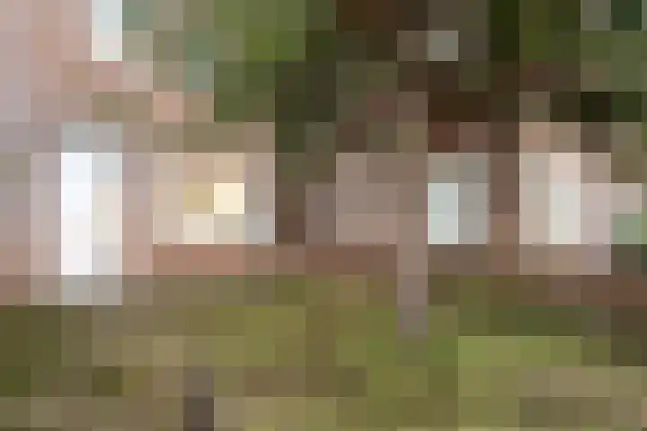 Zwaluwenstraat 29 Almelo thumbnail 4