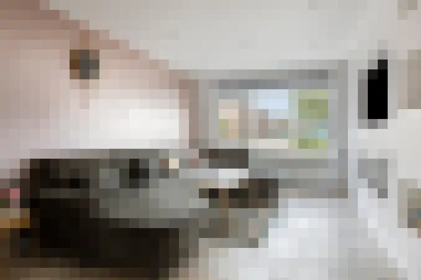 Zwaluwenstraat 50 St. Willebrord thumbnail 4
