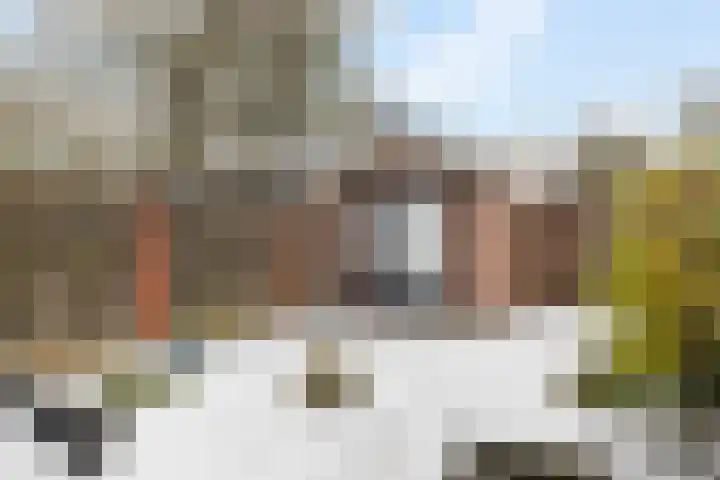 Zwaluwenveld 10 Emmen thumbnail 31
