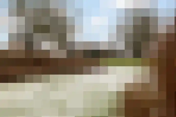 Zwaluwenveld 10 Emmen thumbnail 33