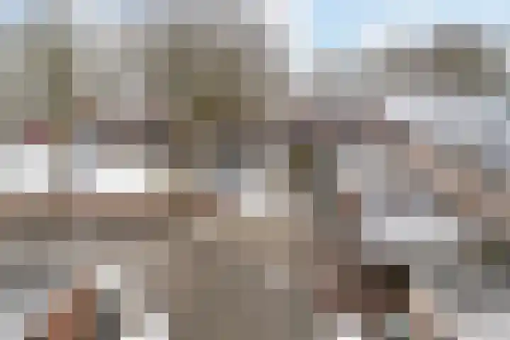 Zwaluwenveld 10 Emmen thumbnail 35