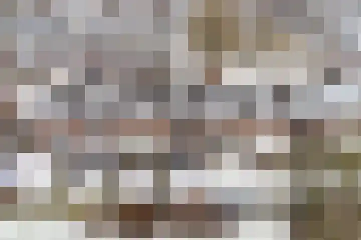 Zwaluwenveld 10 Emmen thumbnail 36