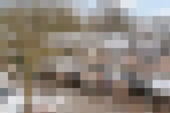 Zwaluwenveld 10 Emmen thumbnail 38