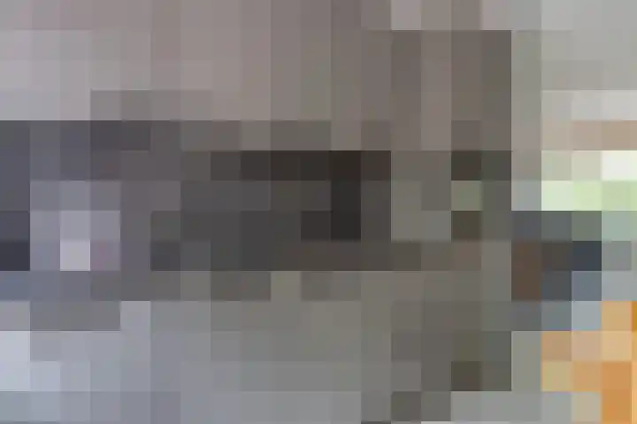 Zwaluwenveld 14 Emmen thumbnail 13