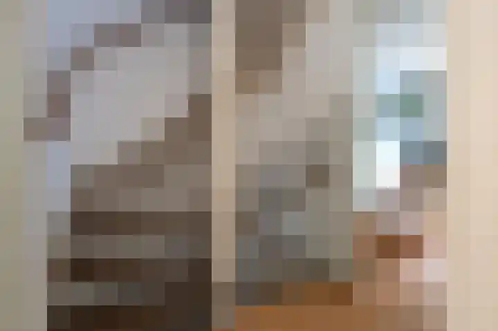 Zwaluwenveld 14 Emmen thumbnail 16