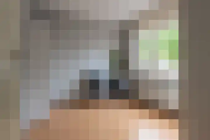 Zwaluwenveld 14 Emmen thumbnail 18
