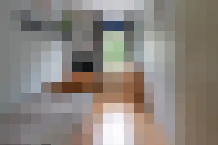 Zwaluwenveld 14 Emmen thumbnail 19