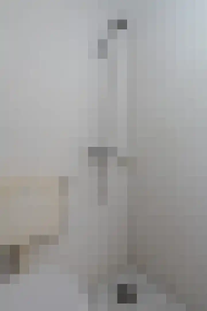Zwaluwenveld 14 Emmen thumbnail 22