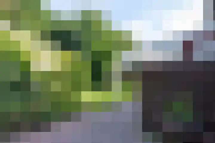 Zwaluwenveld 14 Emmen thumbnail 26