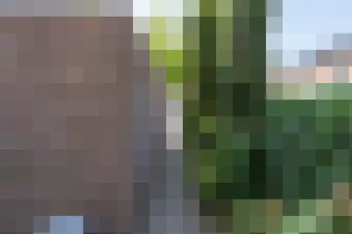 Zwaluwenveld 14 Emmen thumbnail 27