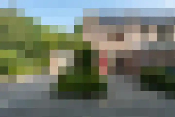 Zwaluwenveld 14 Emmen thumbnail 30